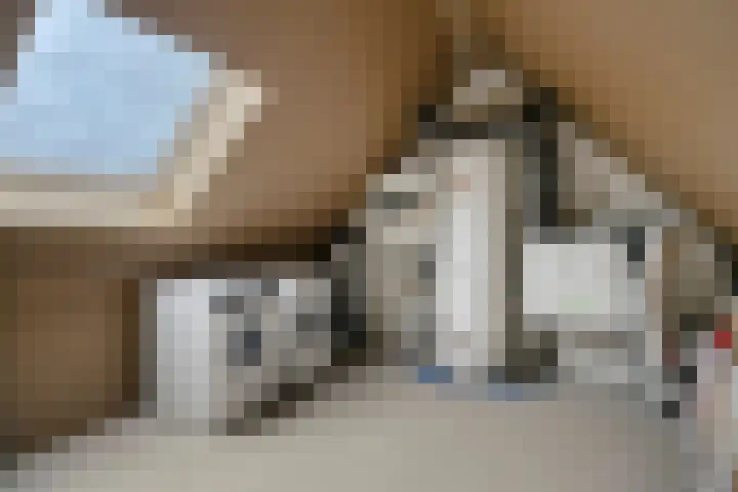 Grootschoterweg 92 c Budel-Schoot thumbnail 19