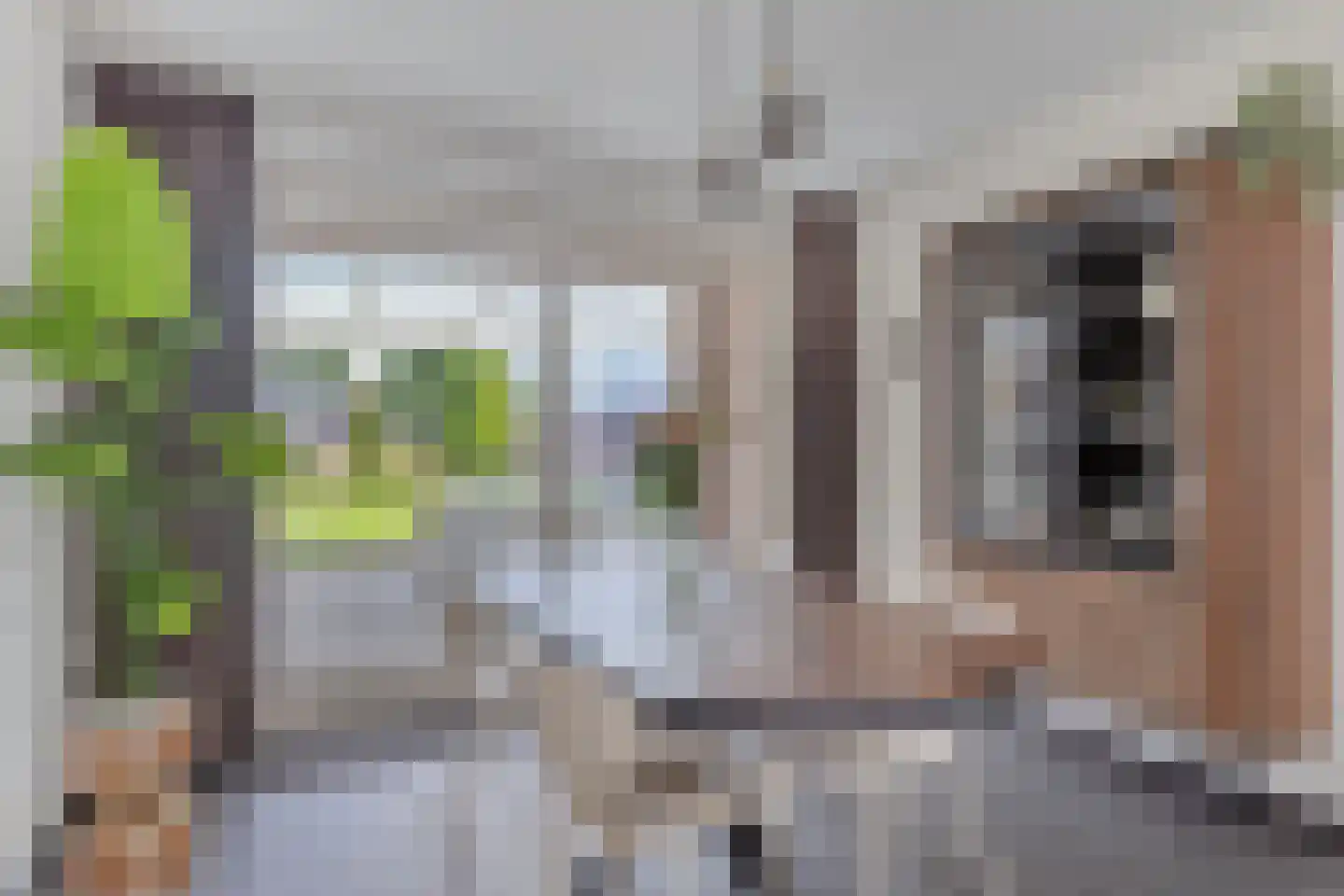 Grootschoterweg 93 Budel-Schoot thumbnail 5