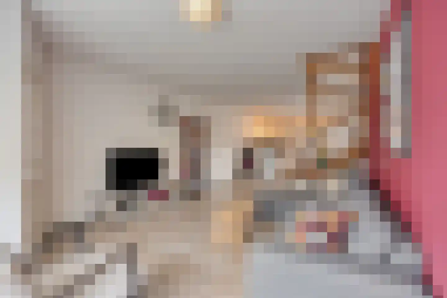 Grootschoterweg 96 a Budel-Schoot thumbnail 4