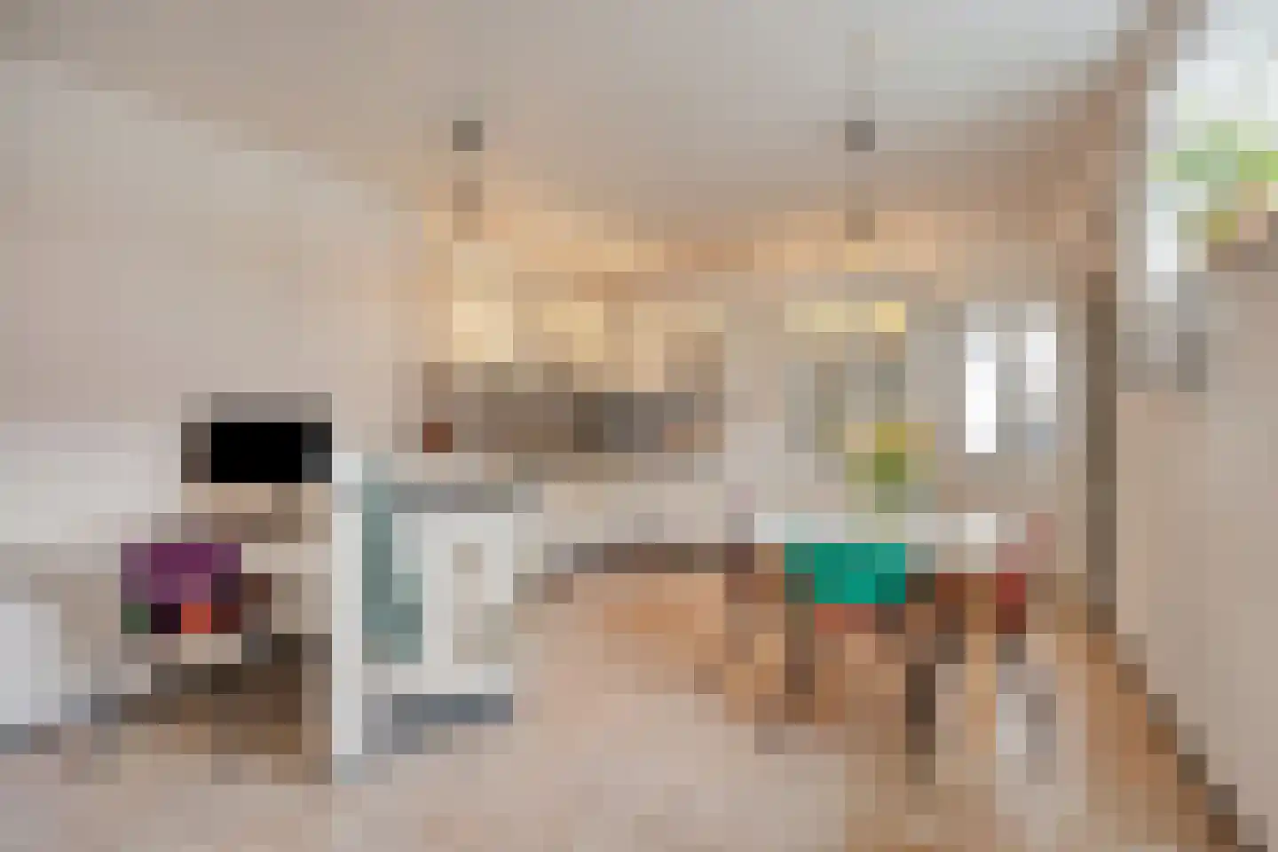 Grootschoterweg 96 a Budel-Schoot thumbnail 8