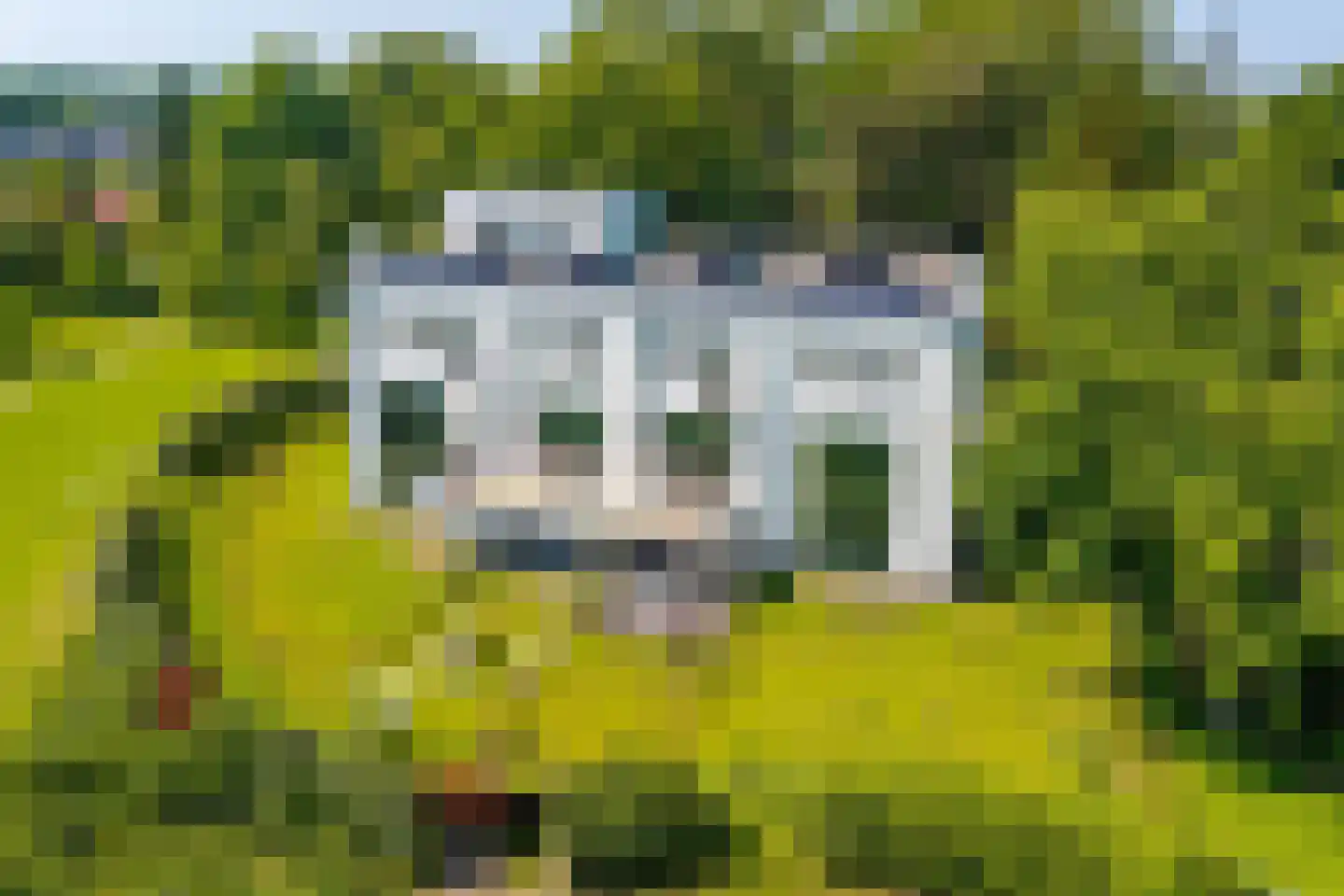 Grootslaan 11 Haren Gn thumbnail 30