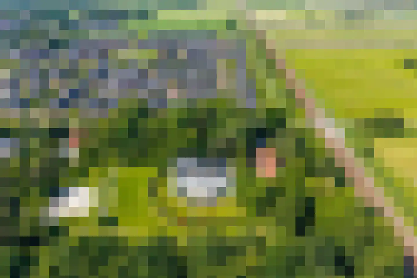 Grootslaan 11 Haren Gn thumbnail 31