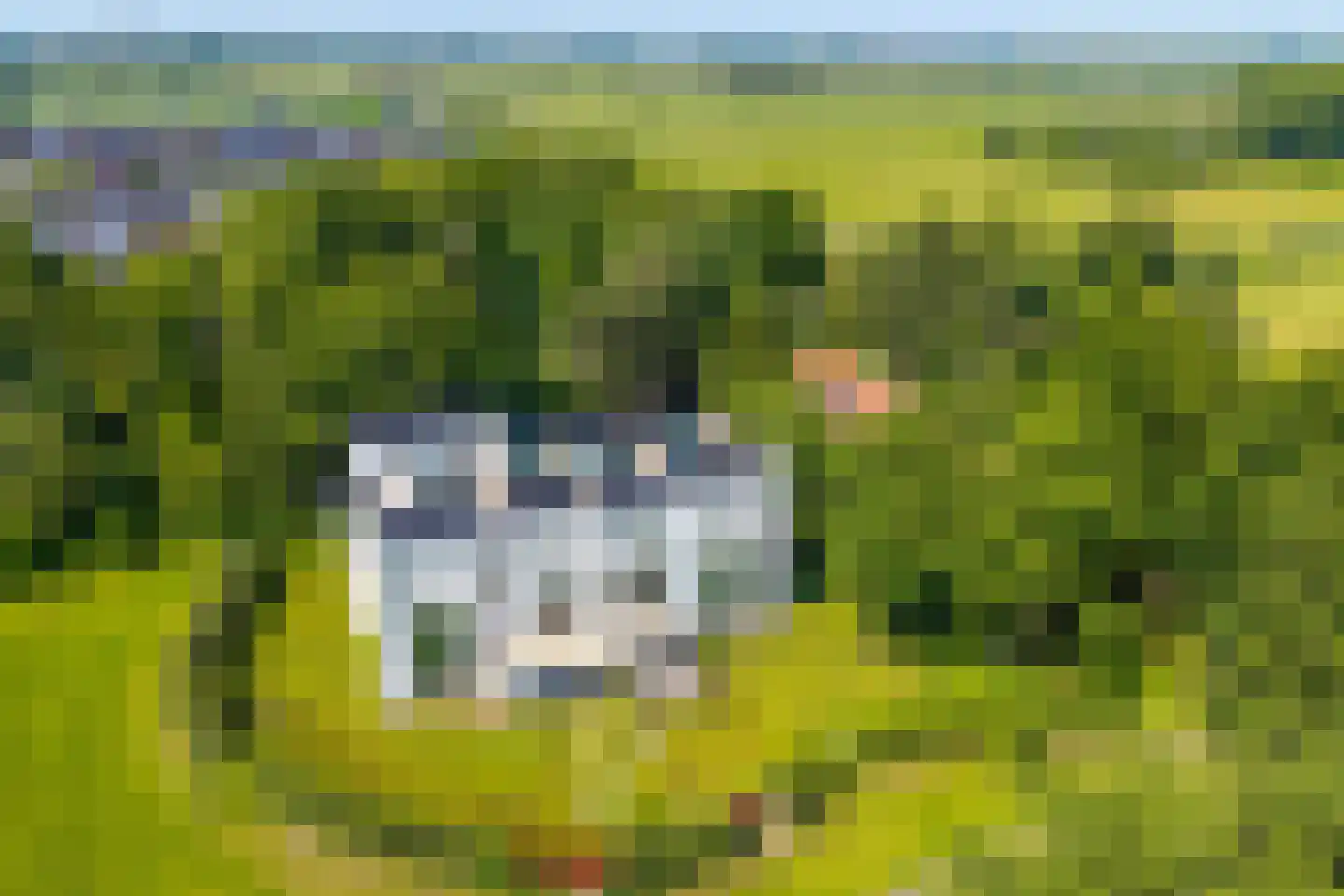 Grootslaan 11 Haren Gn thumbnail 4