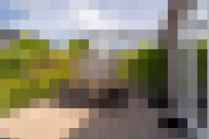 Grootslaan 18 Haren Gn thumbnail 26