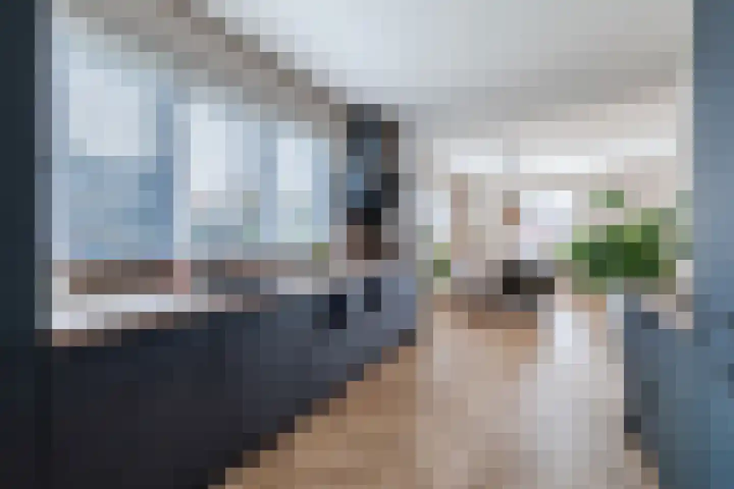 Grootslag 15 Pesse thumbnail 13