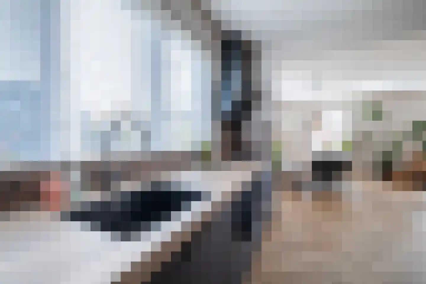 Grootslag 15 Pesse thumbnail 14
