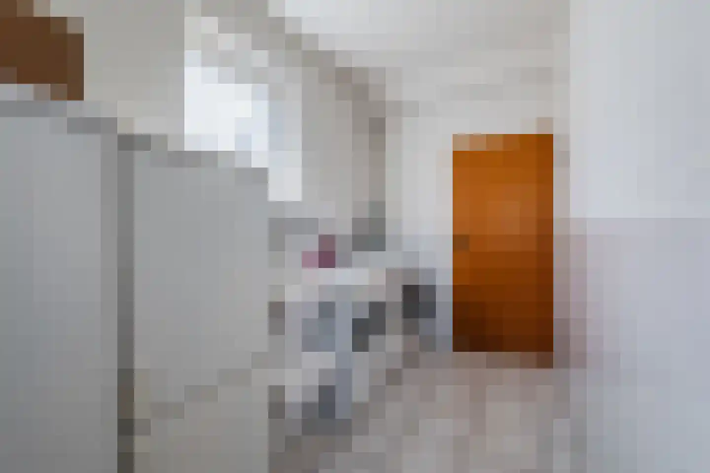 Grootslag 15 Pesse thumbnail 16