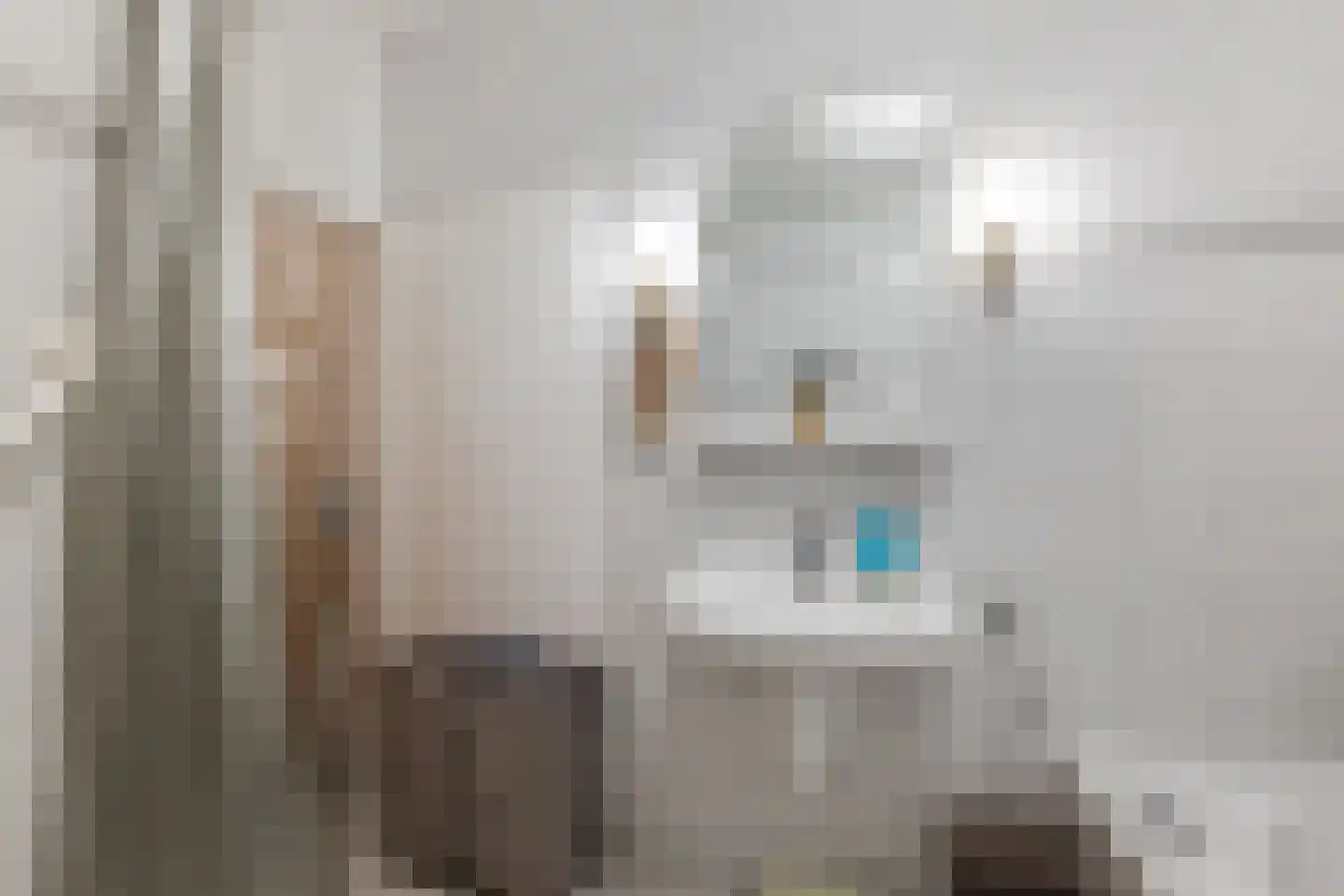 Grootslag 15 Pesse thumbnail 20
