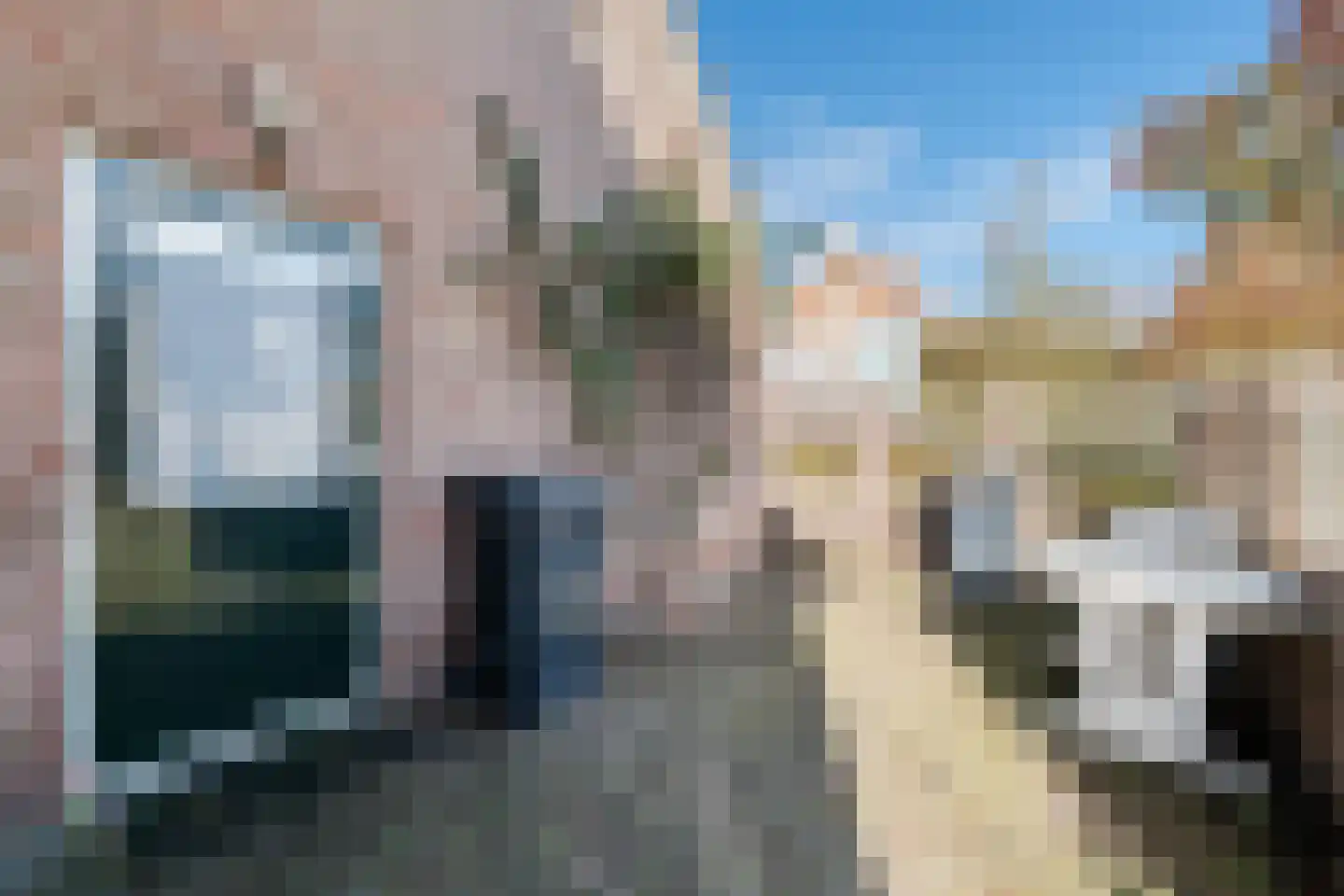 Grootslag 15 Pesse thumbnail 36