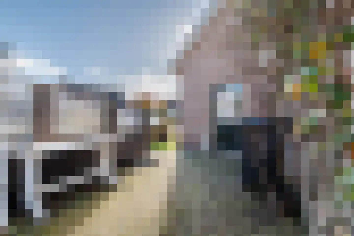 Grootslag 15 Pesse thumbnail 38
