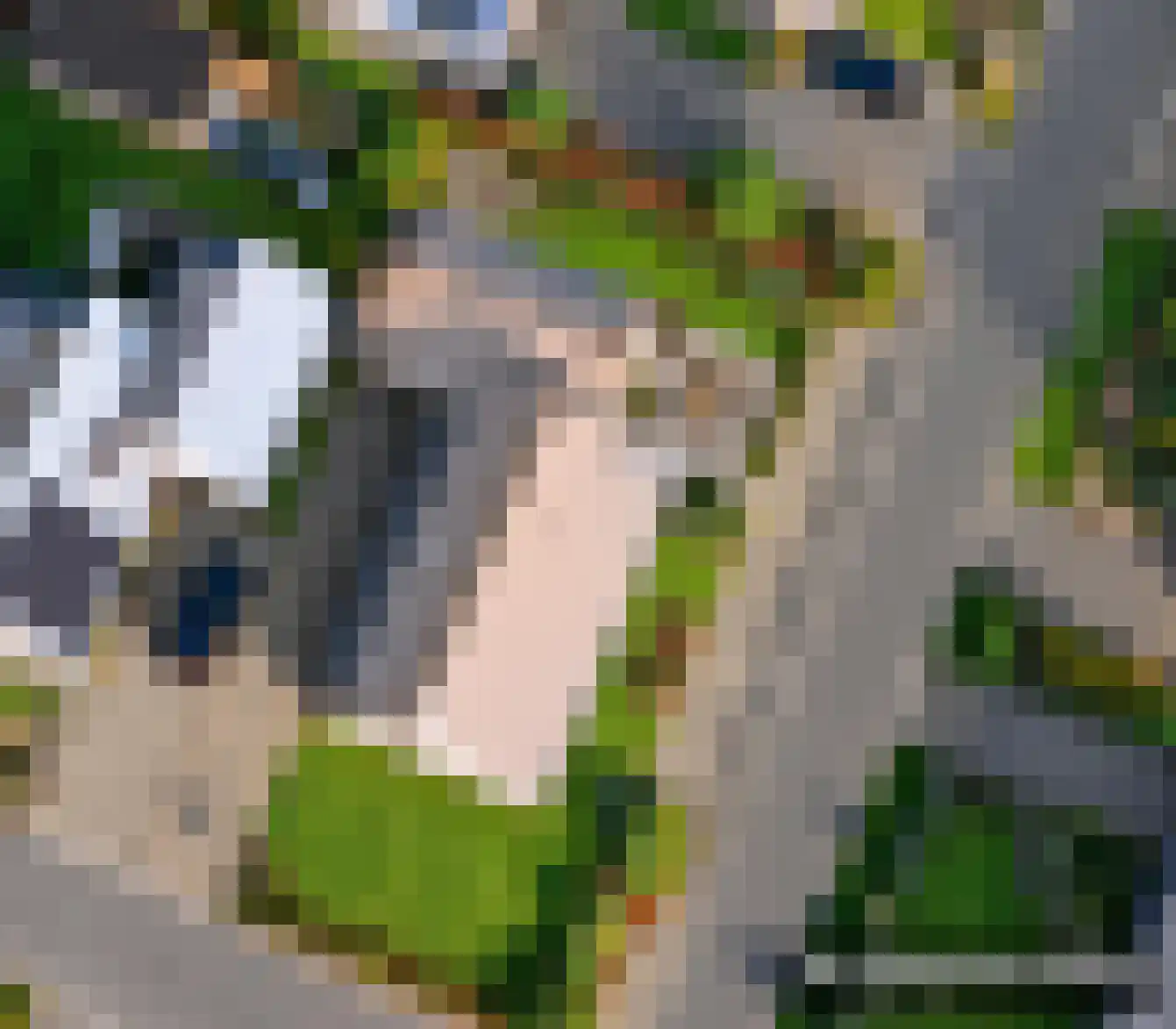 Grootslag 15 Pesse thumbnail 44