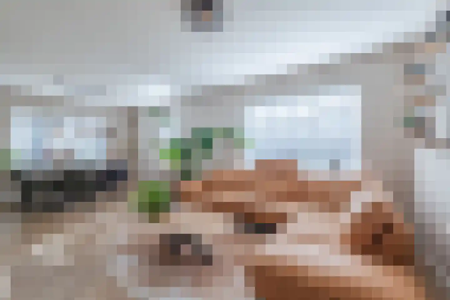 Grootslag 15 Pesse thumbnail 6