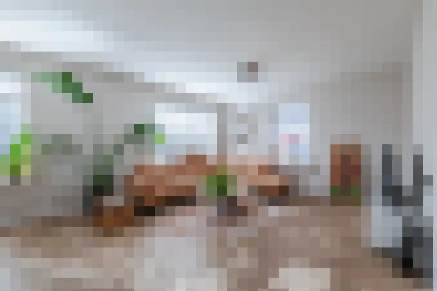 Grootslag 15 Pesse thumbnail 7