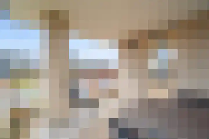 Grootslag 63 Houten thumbnail 19