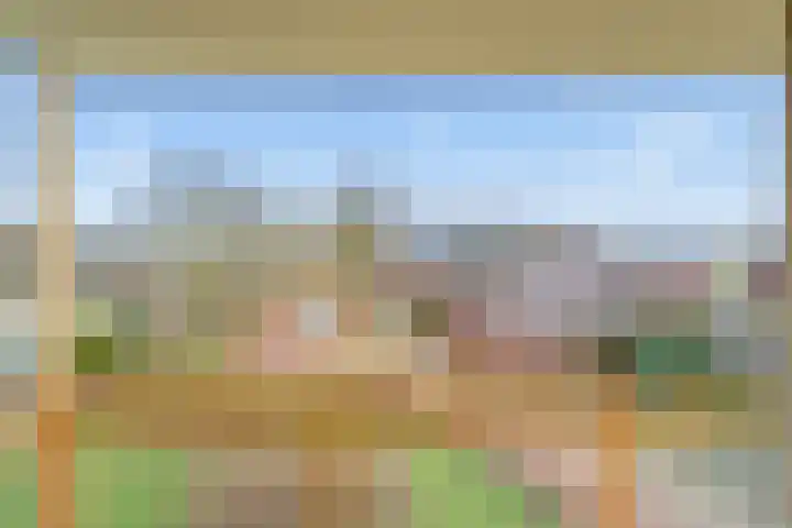 Grootslag 63 Houten thumbnail 21