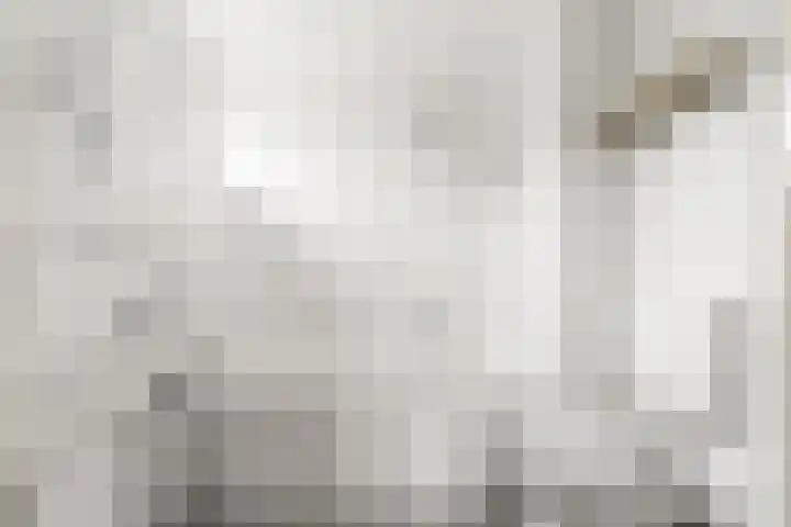 Grootslag 63 Houten thumbnail 30