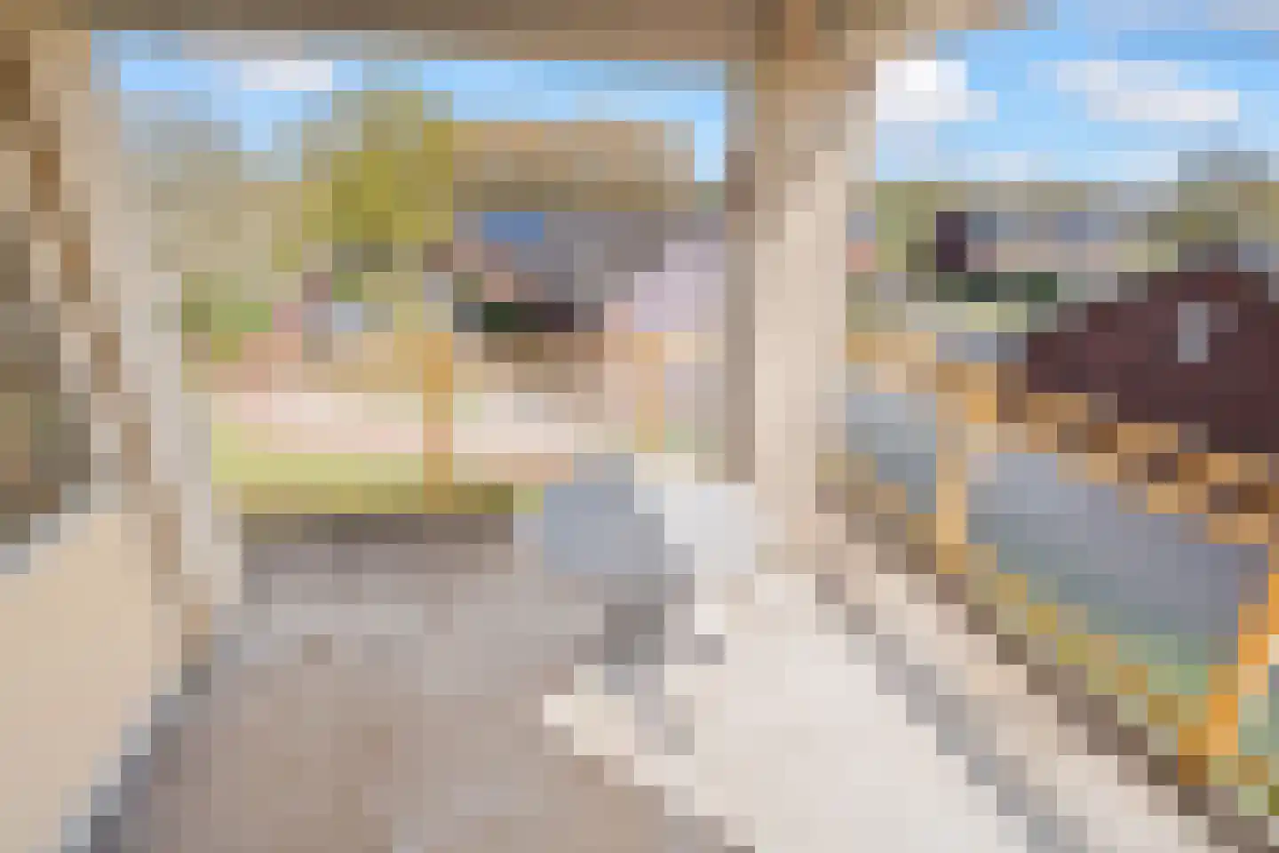 Grootslag 69 Houten thumbnail 14