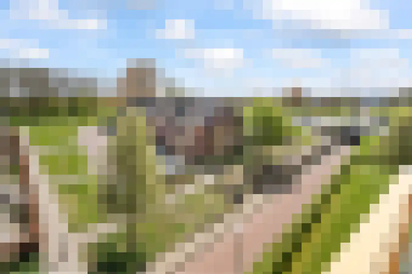 Grootslag 69 Houten thumbnail 17