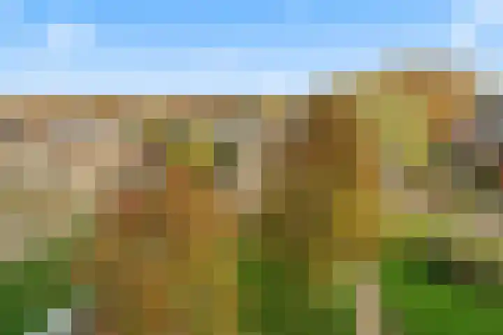 Grootslag 71 Houten thumbnail 36