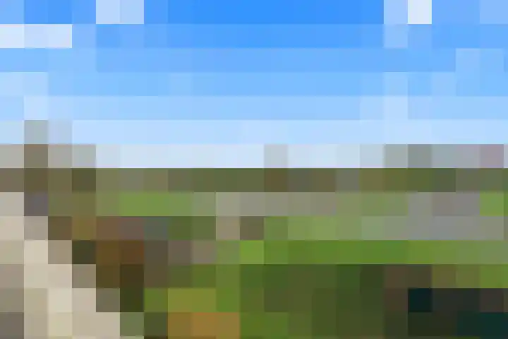Grootslag 71 Houten thumbnail 37