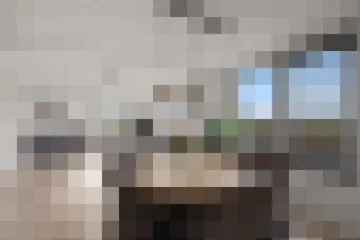 Grootslag 71 Houten thumbnail 7