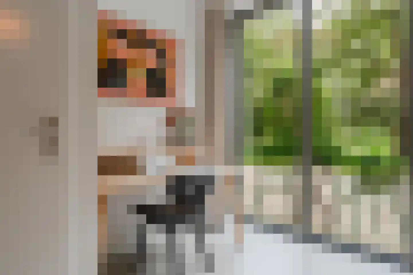 Grootslagstraat 65 Amsterdam thumbnail 10
