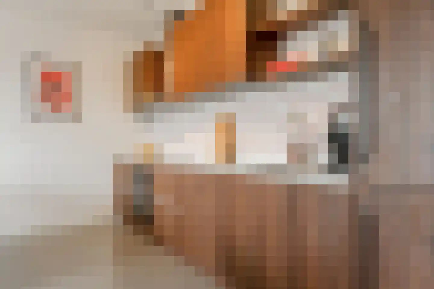Grootslagstraat 65 Amsterdam thumbnail 20