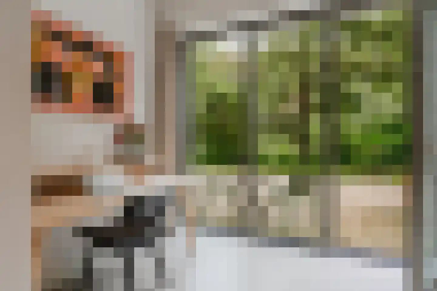 Grootslagstraat 65 Amsterdam thumbnail 45