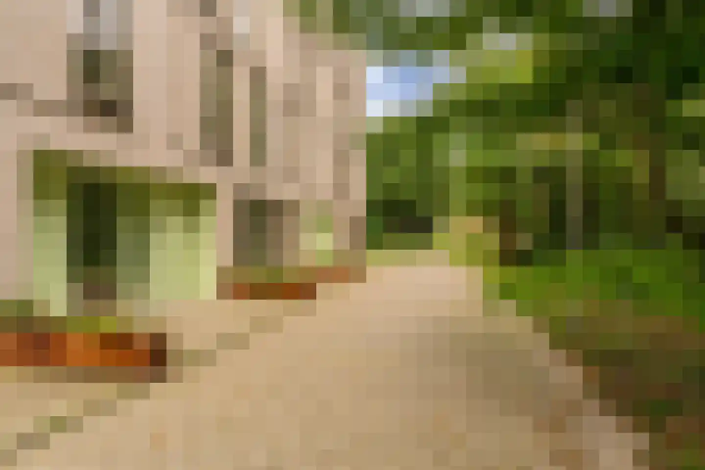 Grootslagstraat 65 Amsterdam thumbnail 49