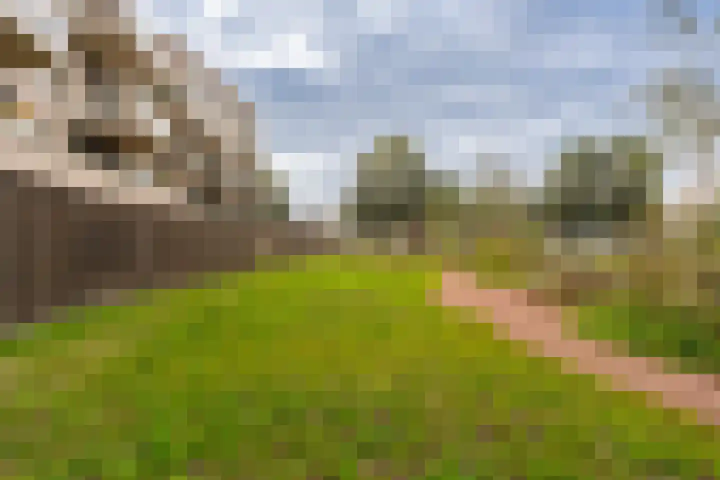 Grootslagstraat 65 Amsterdam thumbnail 51