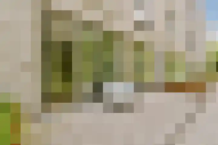 Grootslagstraat 75 Amsterdam thumbnail 15