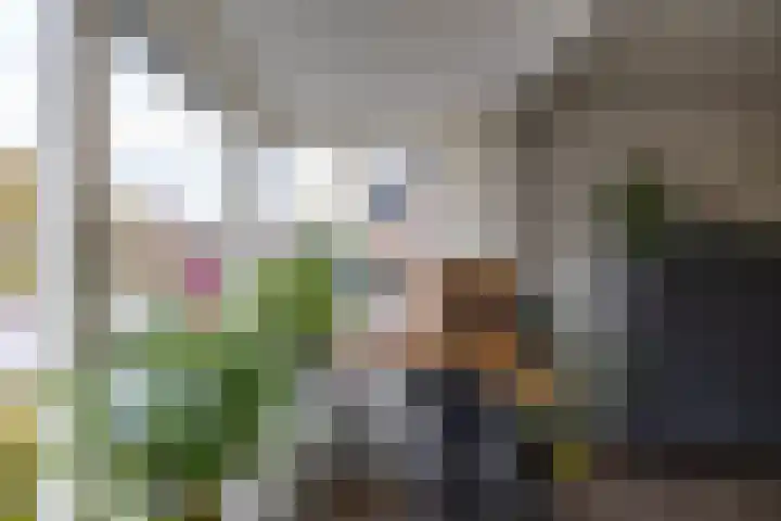 Grootveenweg 10 Norg thumbnail 19