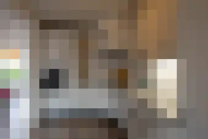Grootveenweg 10 Norg thumbnail 24