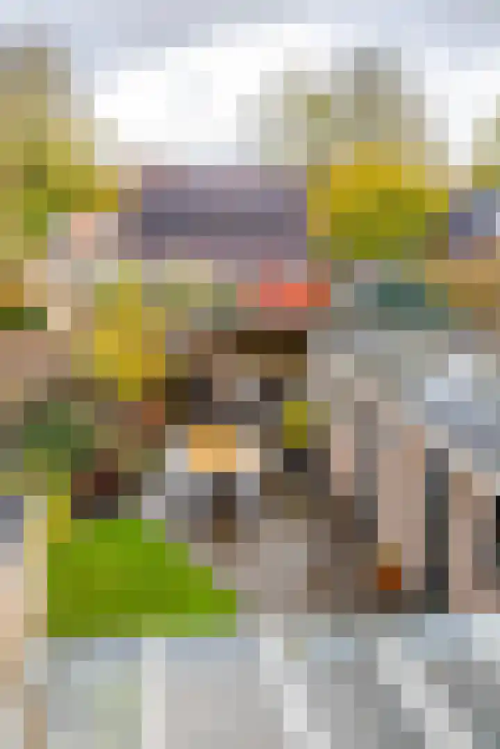 Grootveenweg 10 Norg thumbnail 43