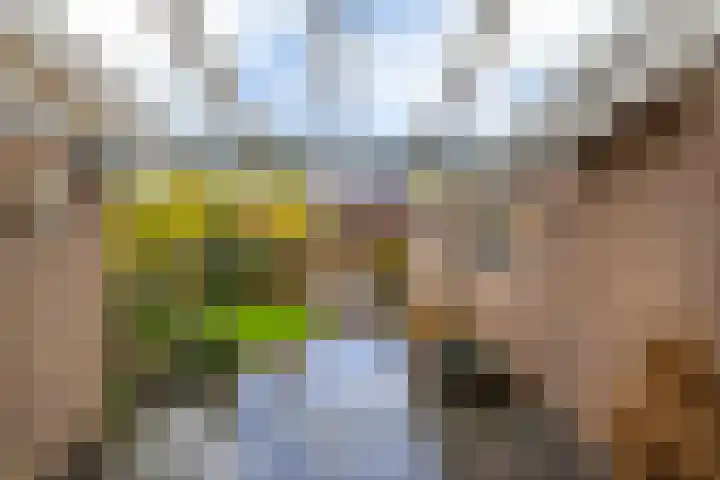 Grootveenweg 10 Norg thumbnail 44