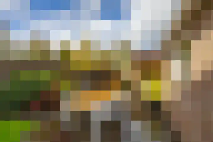 Grootveenweg 10 Norg thumbnail 45