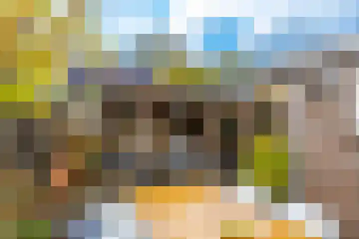 Grootveenweg 10 Norg thumbnail 46