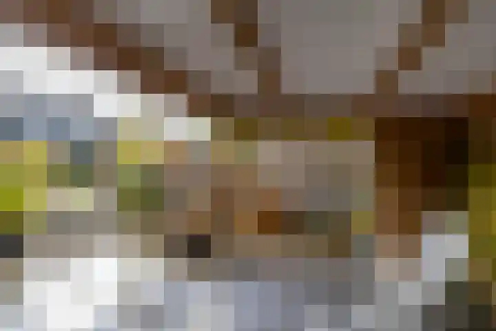 Grootveenweg 10 Norg thumbnail 48