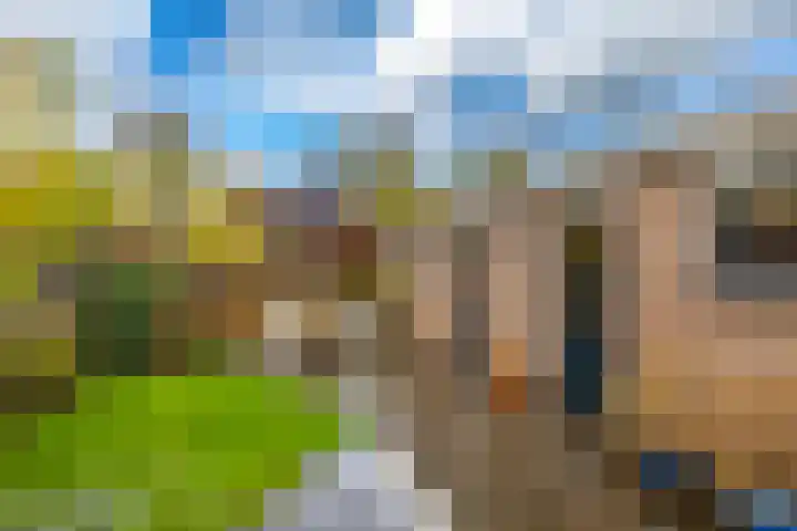 Grootveenweg 10 Norg thumbnail 5