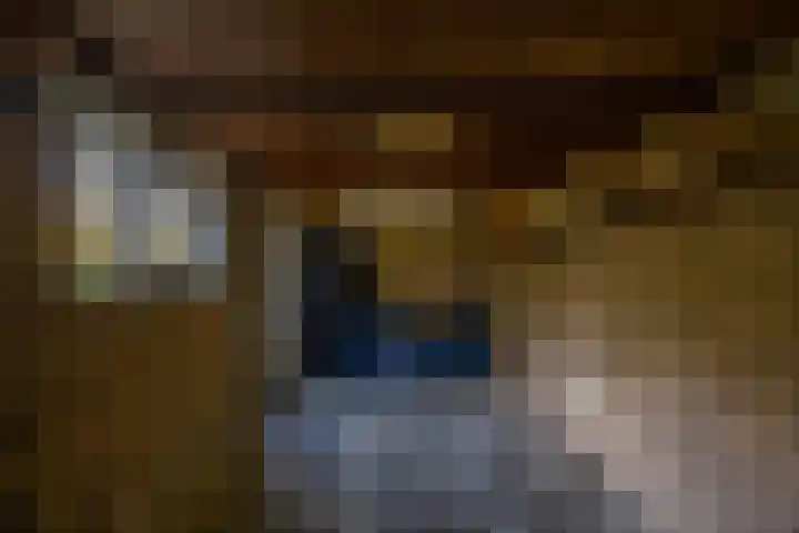 Grootveenweg 10 Norg thumbnail 50