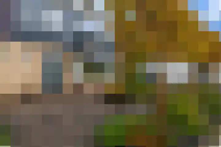Grootveenweg 10 Norg thumbnail 9