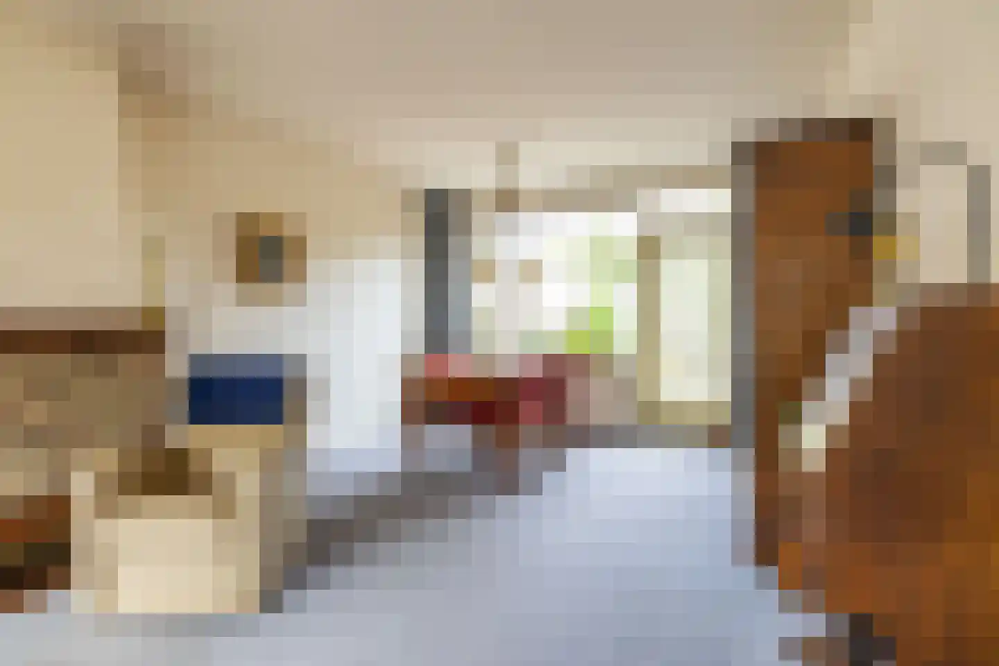 Grootveenweg 12 Norg thumbnail 12