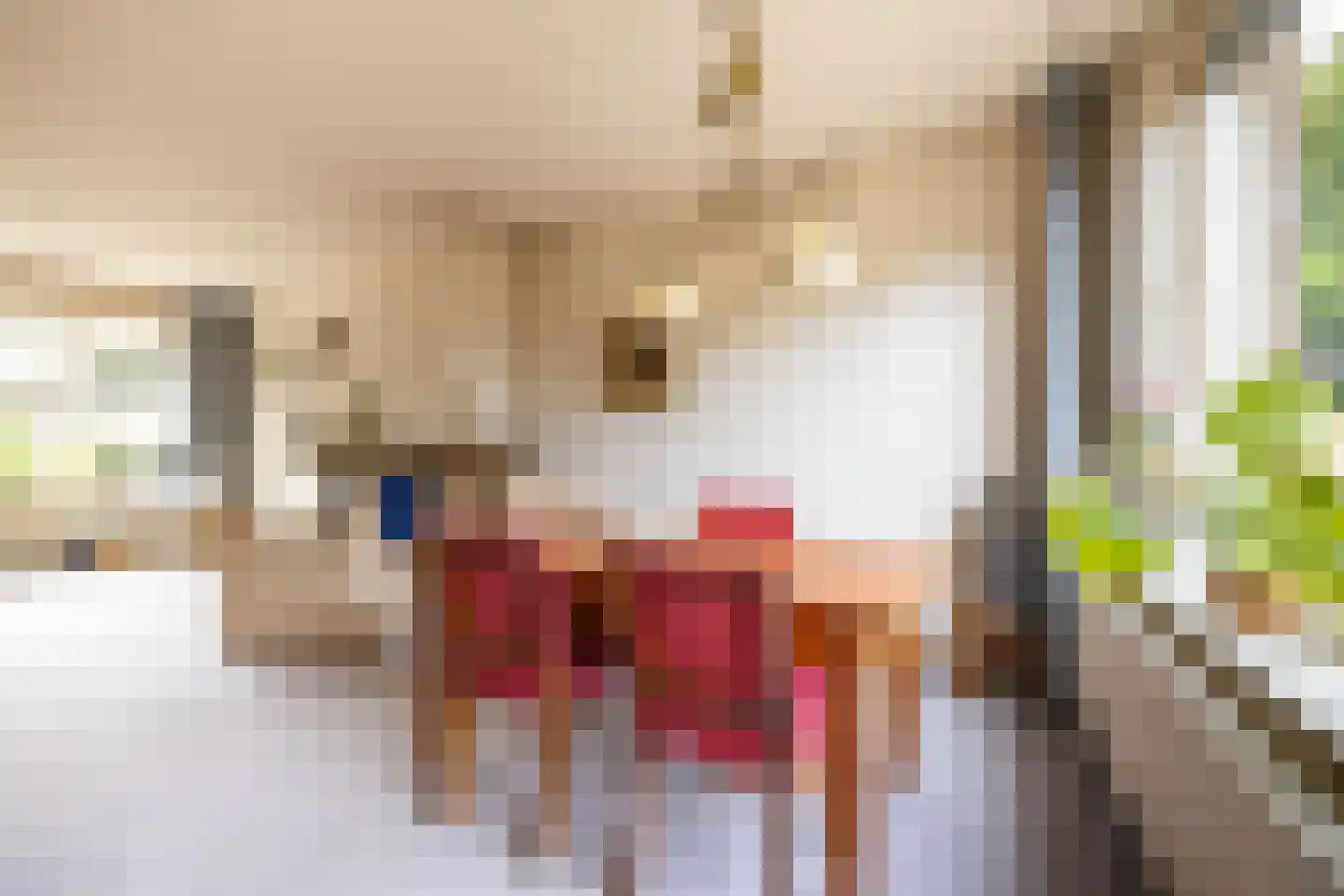 Grootveenweg 12 Norg thumbnail 14