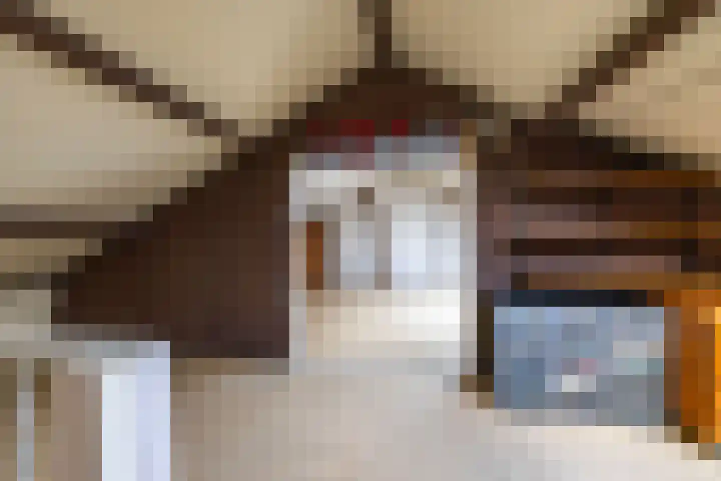 Grootveenweg 12 Norg thumbnail 41
