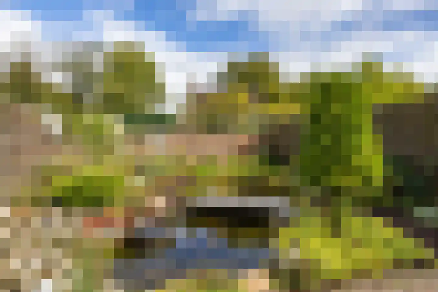 Grootveenweg 12 Norg thumbnail 51