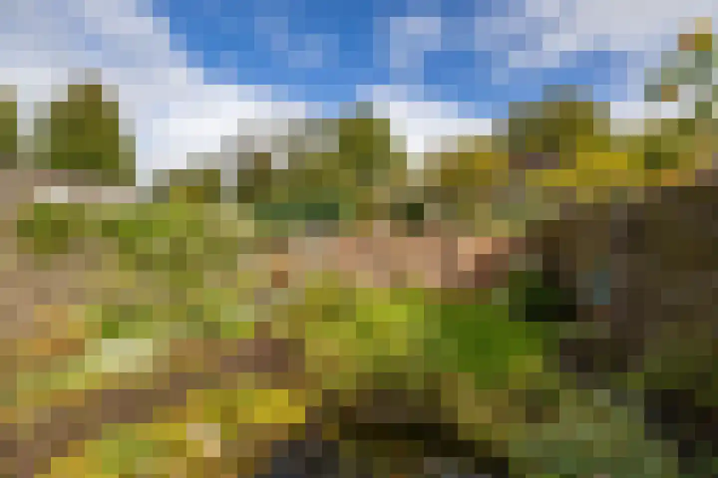 Grootveenweg 12 Norg thumbnail 53