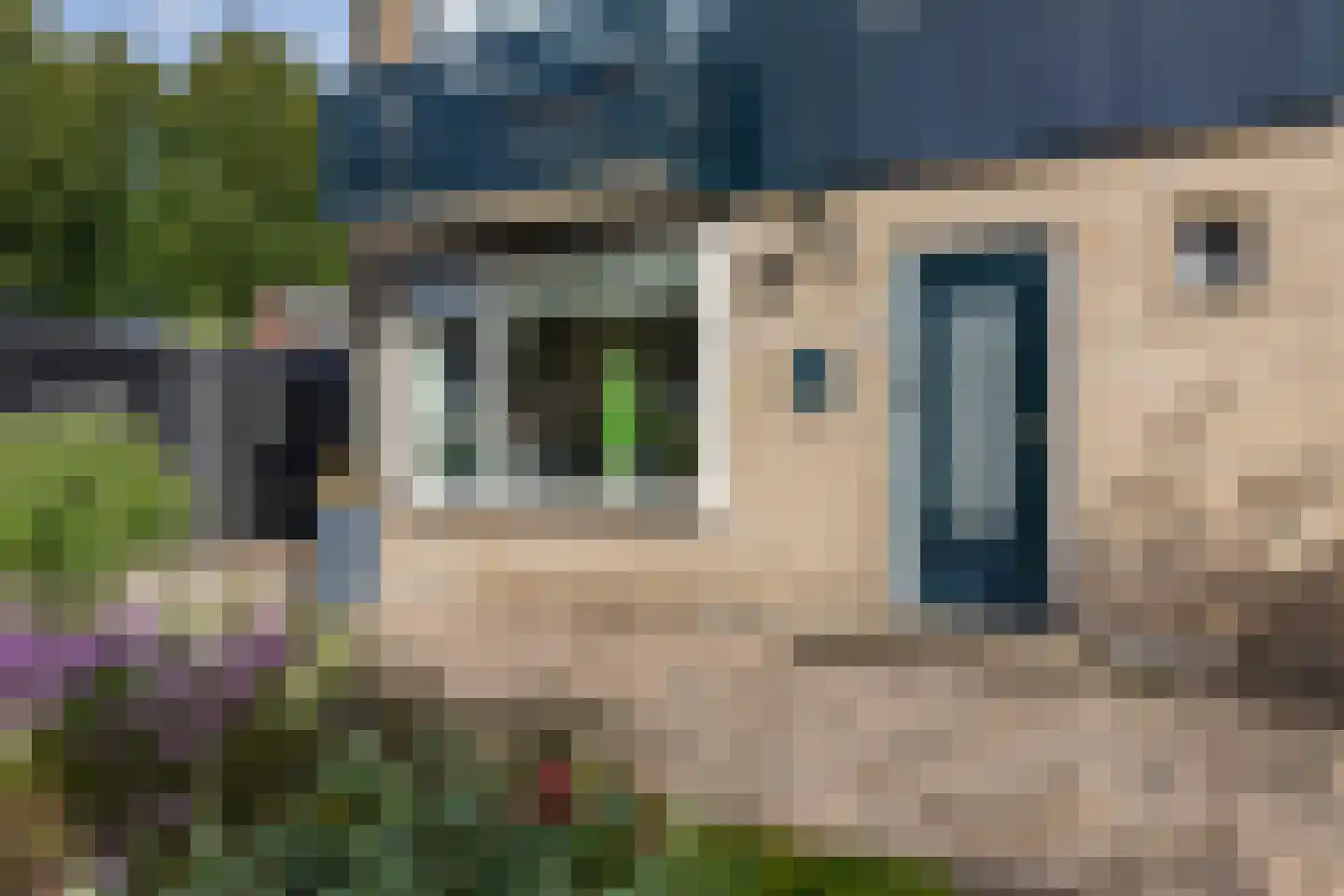 Grootveenweg 12 Norg thumbnail 8