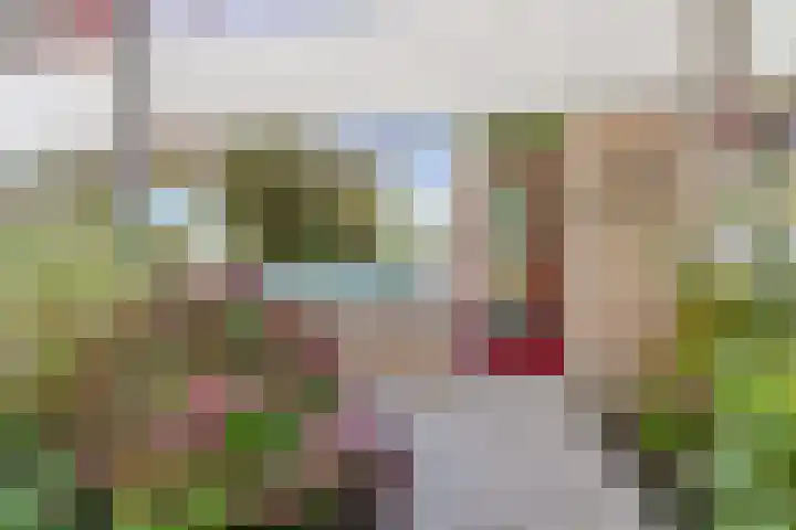 Grootveenweg 13 Norg thumbnail 15