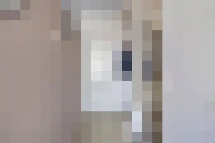 Grootveenweg 13 Norg thumbnail 17