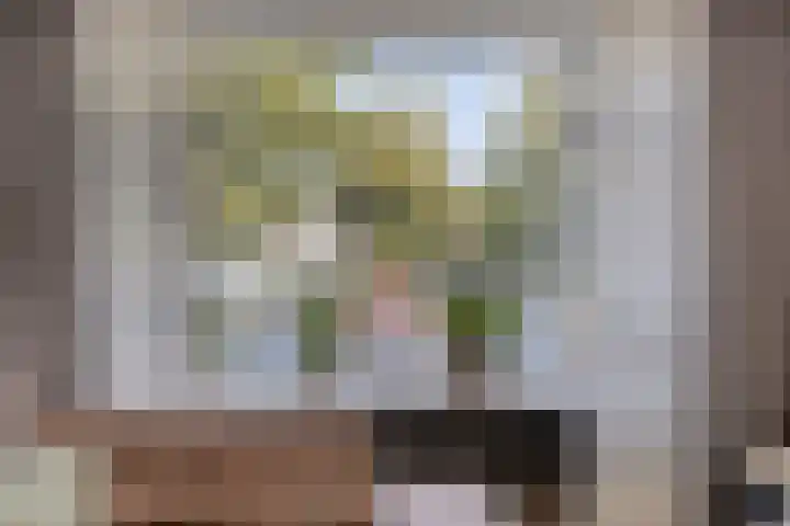 Grootveenweg 13 Norg thumbnail 20